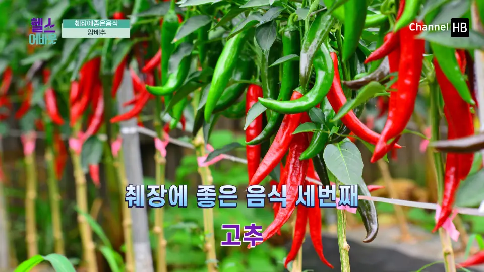 췌장에 좋은 음식