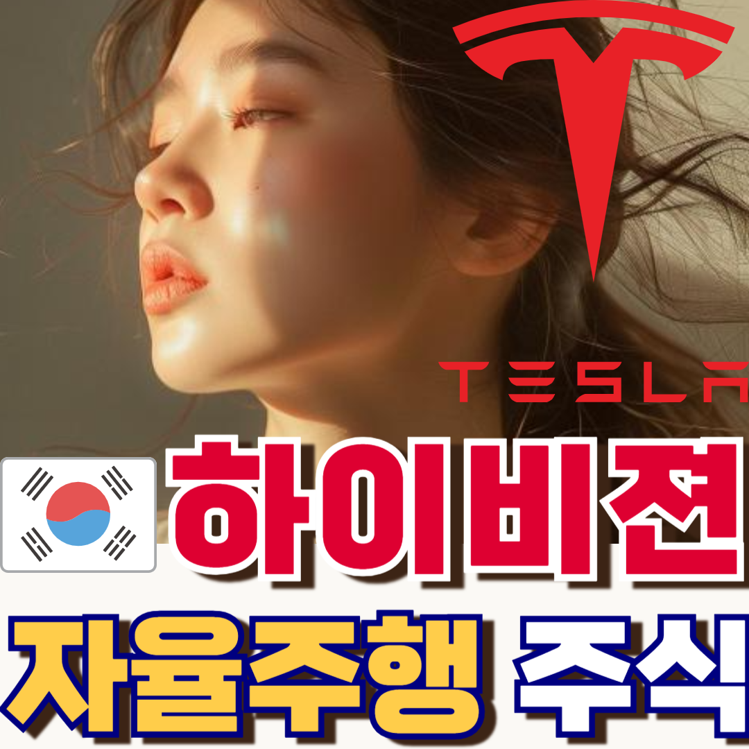하이비젼시스템