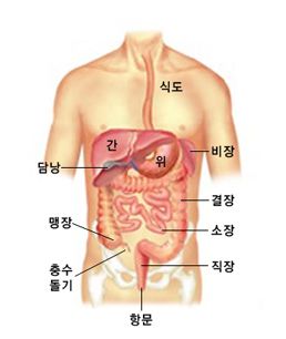 위 위치