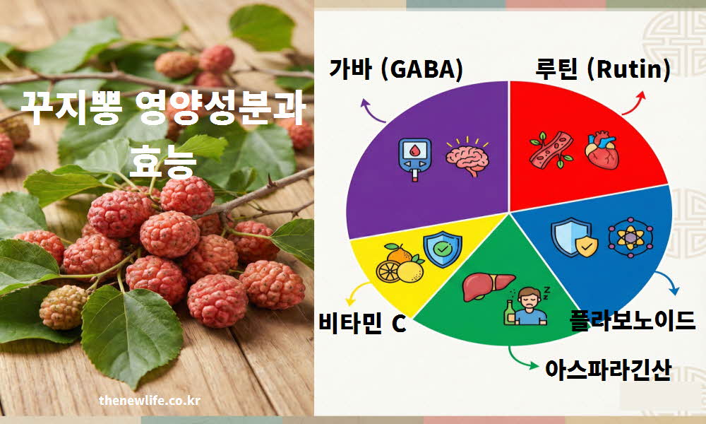 꾸지뽕 효능 영양 성분