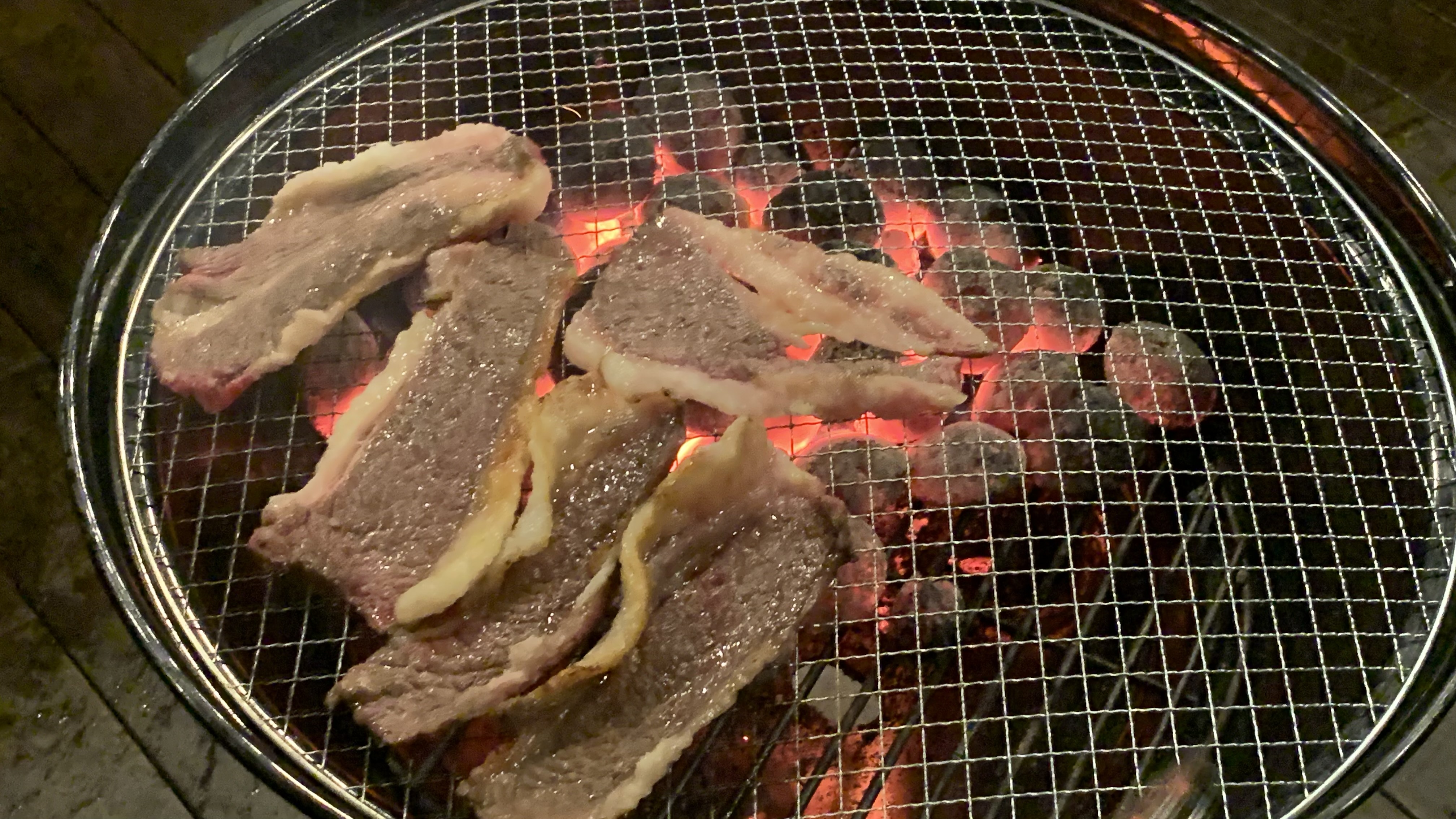 제주도에서 찾은 감성 글램핑 숙소 어라운드폴리 리뷰 - 겨울 에어스트림 숙박 후기