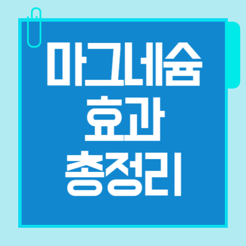 마그네슘 효과 총정리! 하루 권장량부터 부족 증상까지