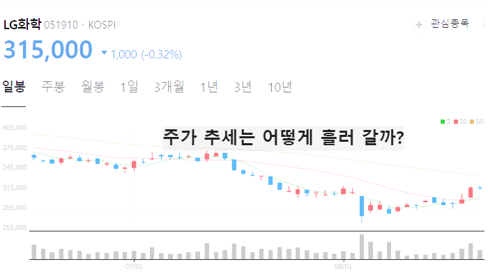 먹는 비만약 비만치료제 관련주 TOP10
