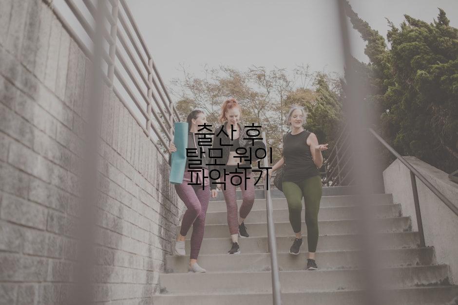 출산 후 탈모 원인 파악하기