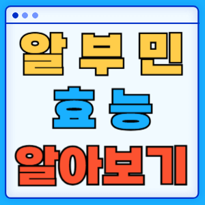 알부민 효능
