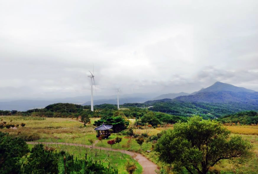 경주 바람의 언덕 / 풍력발전
