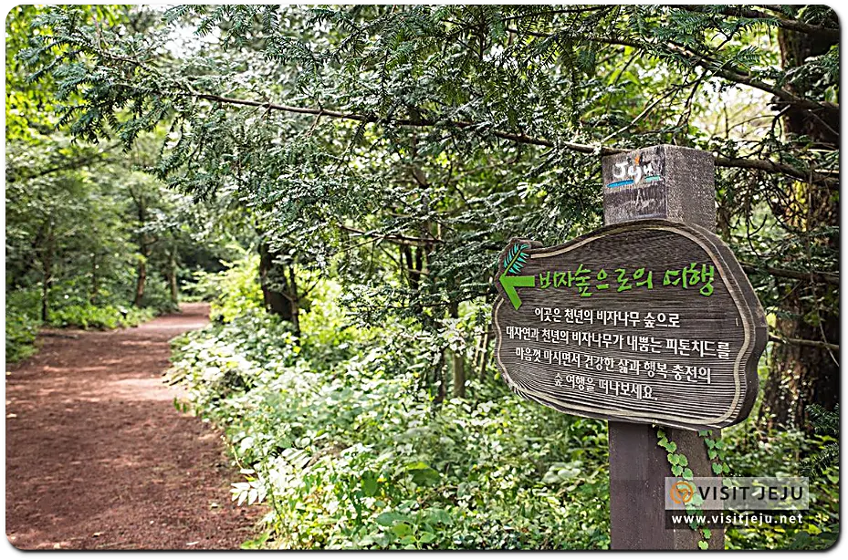 비자림
