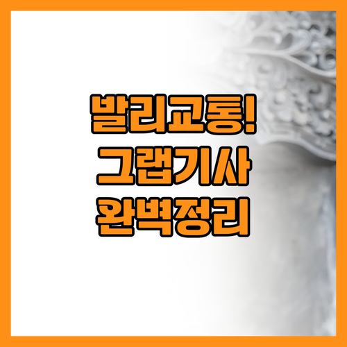 발리 그랩 활용법과 개인 기사 대절로..
