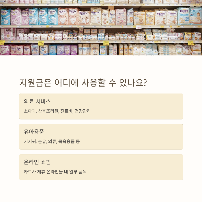 지원금 사용처와 조건