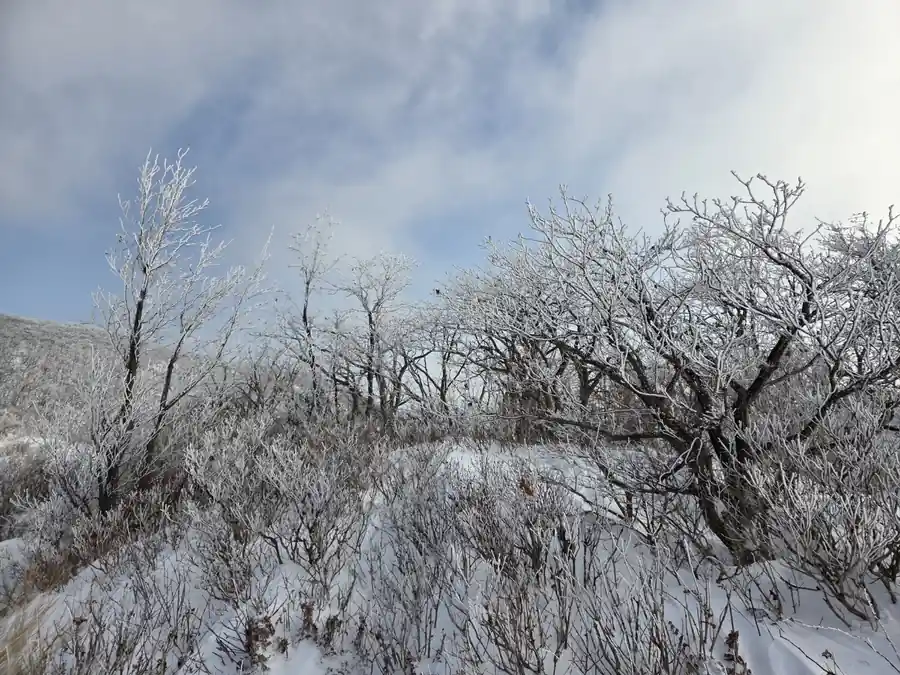 푸른 하늘과 상고대