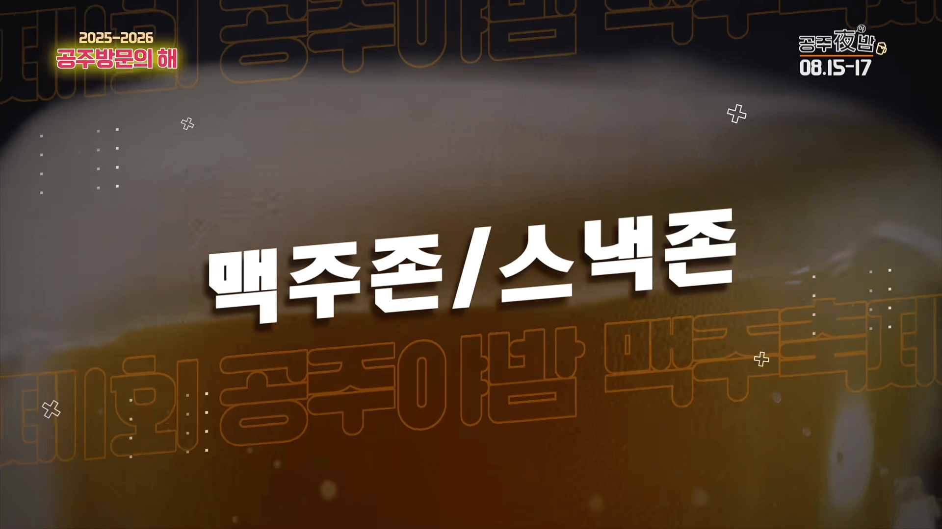 공주 야밤 맥주축제