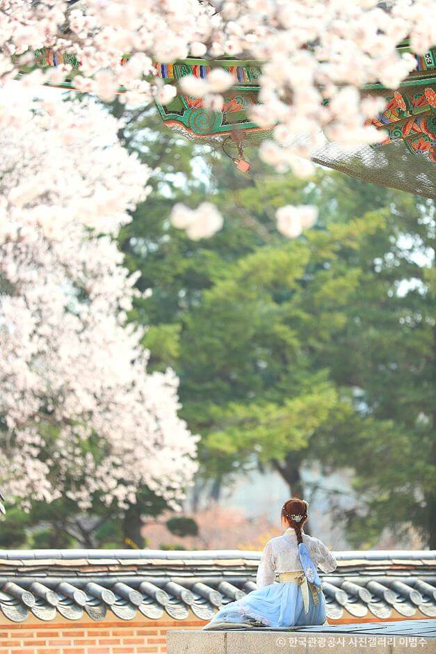 신용사면