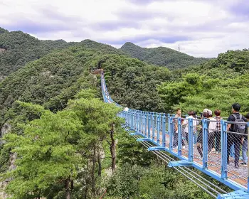 소금산 출렁다리_4