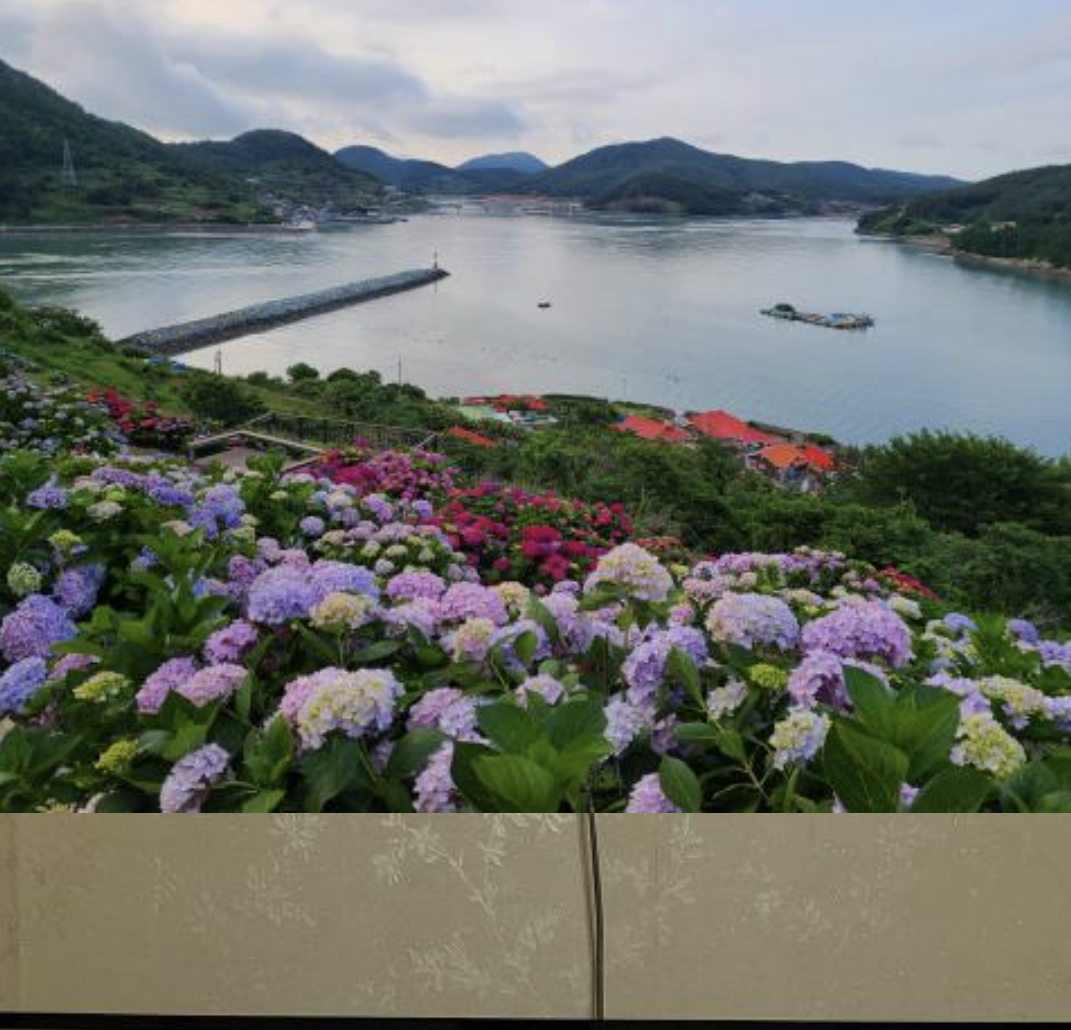 쑥섬 수국길