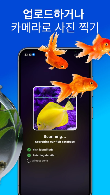 피시바이(Fishby), 물고기 도감, 사진으로 조류 식별하기, 물고기 이름 찾기 어플