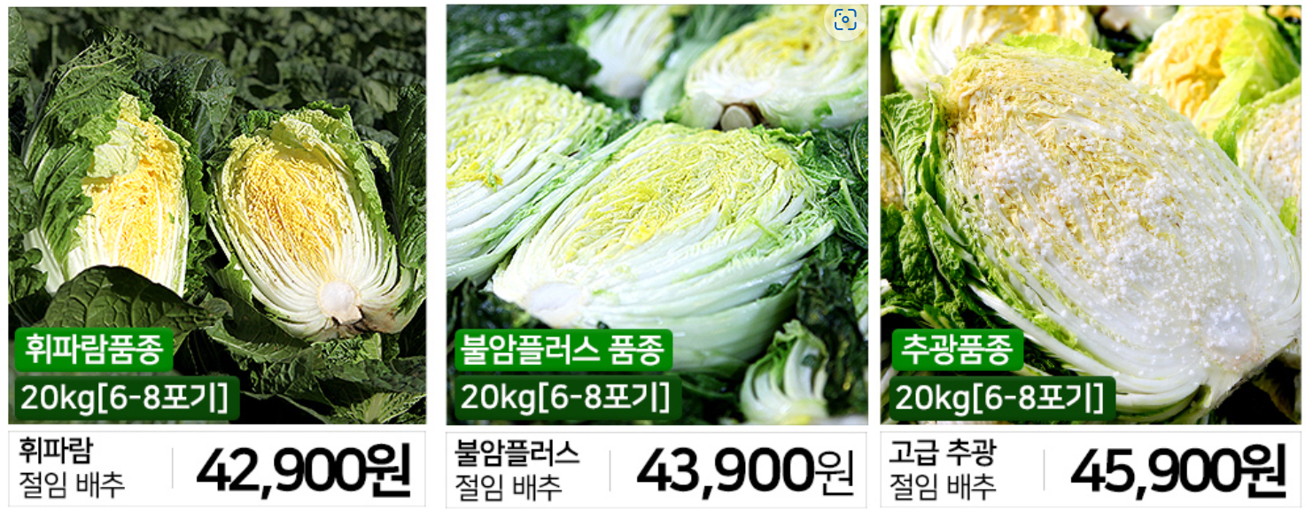 절임배추