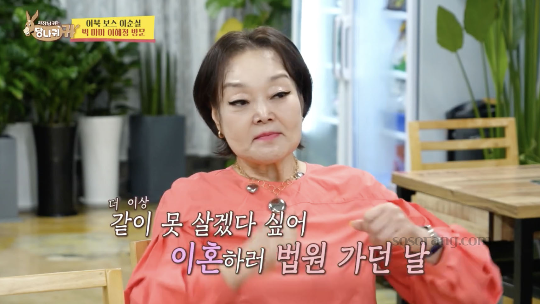 이혜정 남편과 이혼 위해 법원 가던 날 회상 모습