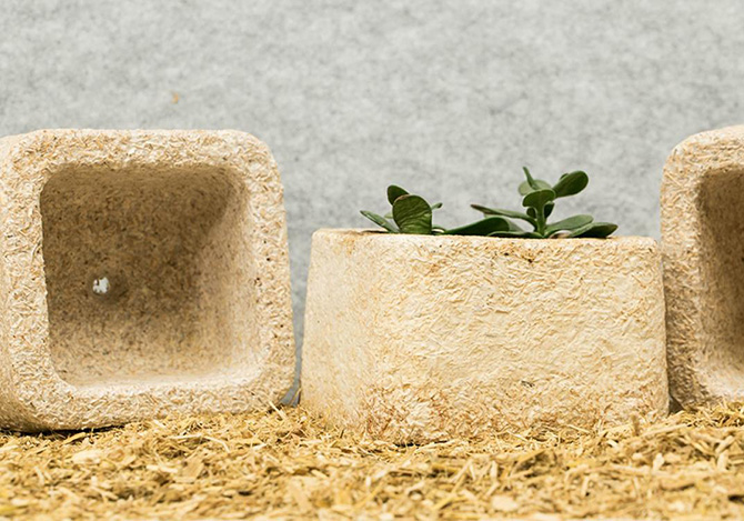 바로 에코 베이 티브 디자인(Ecovative Design)에서 개발한
곰팡이(버섯) 포장재