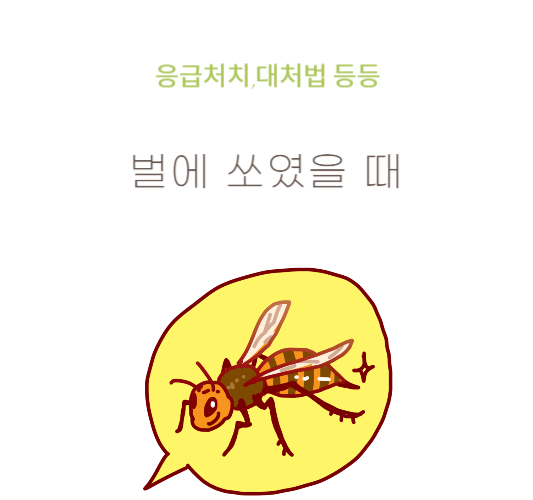 벌에-쏘였을때-응급처치