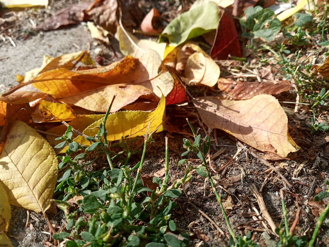 September