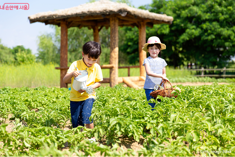 서울어린이대공원 어린이 텃밭 프로그램