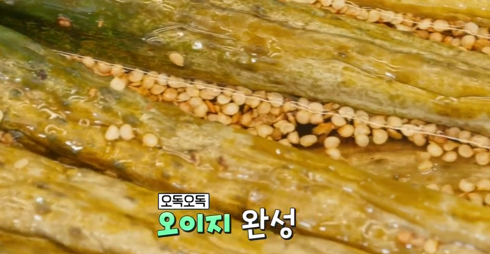 오이지 담그는 방법