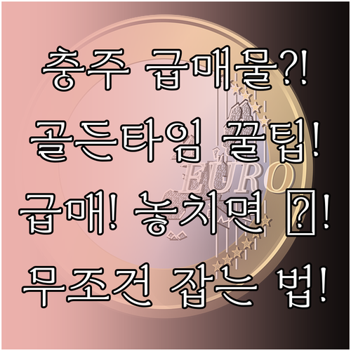 충주 교차로 부동산 골든 타임 공략으..