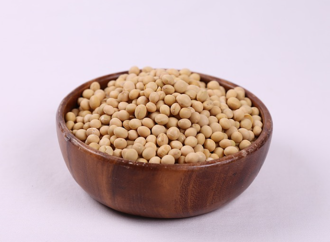 갱년기좋은음식