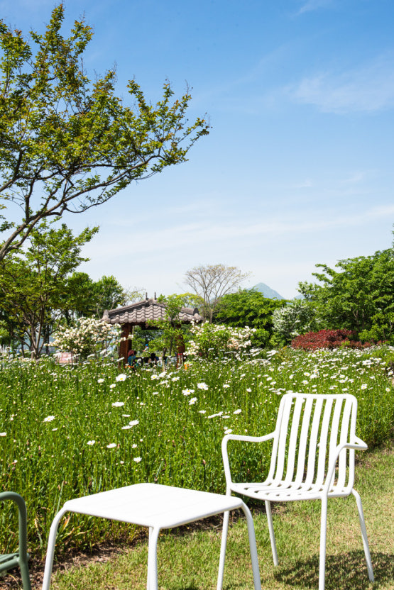 [5월 축제]창포원❘2025 거창에 온 봄 축제, 아리미아꽃축제,거창한 산양삼 축제