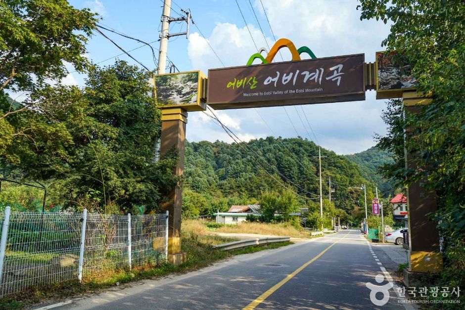 가평 어비계곡 주변 맛집 카페 강아지 동반 정보