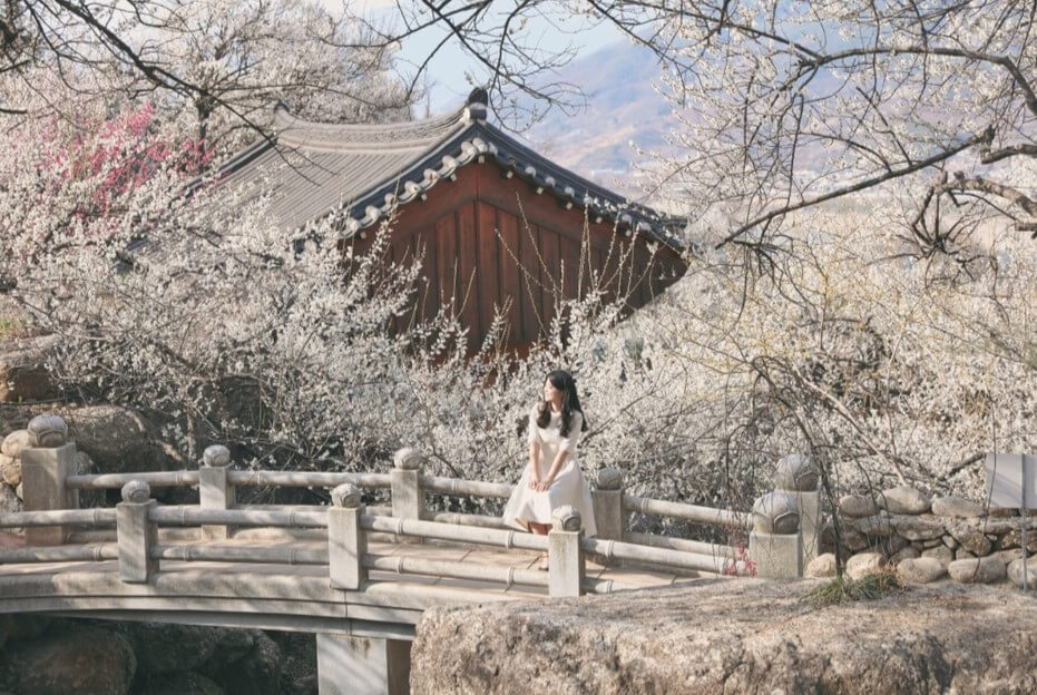 2024 전국 꽃축제