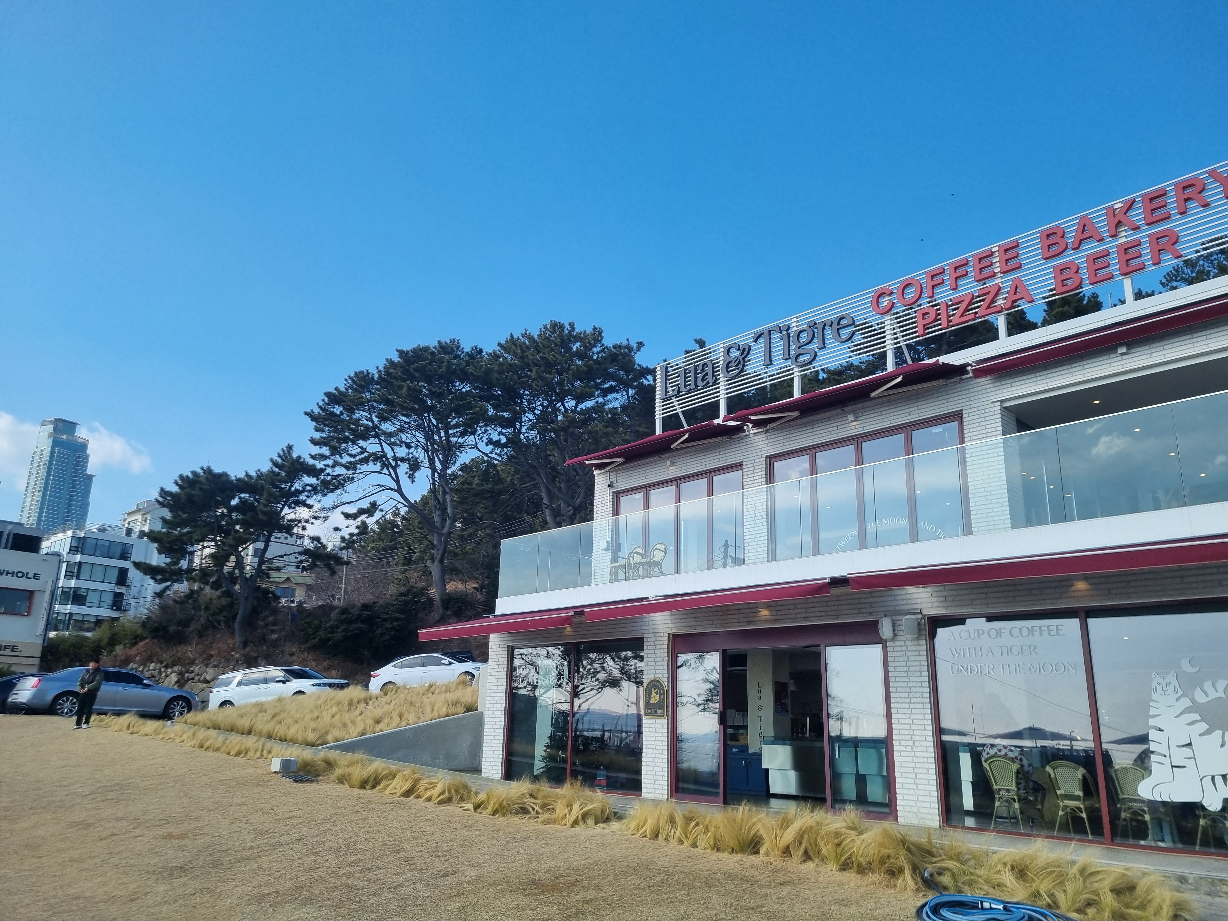 루아앤티그리