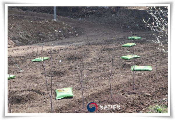 텃밭관리 &quot;2월~3월 감자 심기&quot; 슬기로운 전원생활 완벽 가이드!