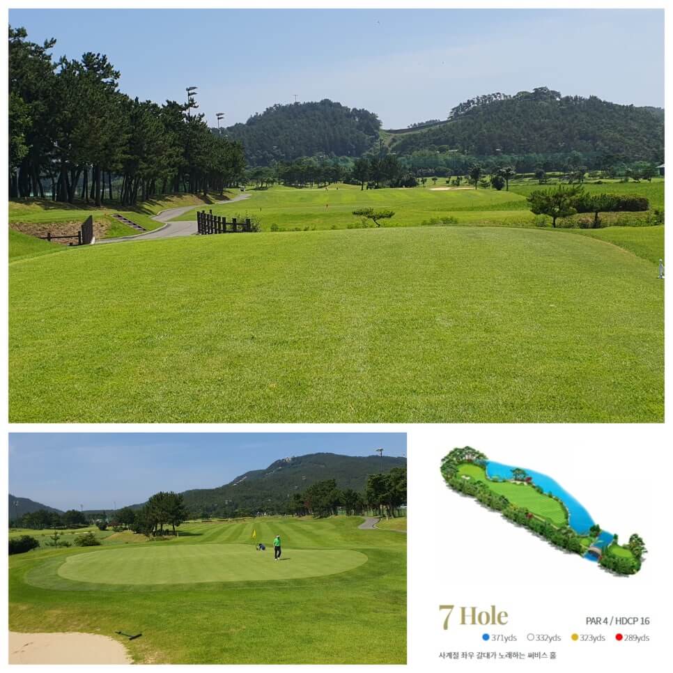 골프장 경험담 태안 스톤비치CC 완벽 가이드 서해 바다와 맞닿은 프리미엄 골프명소