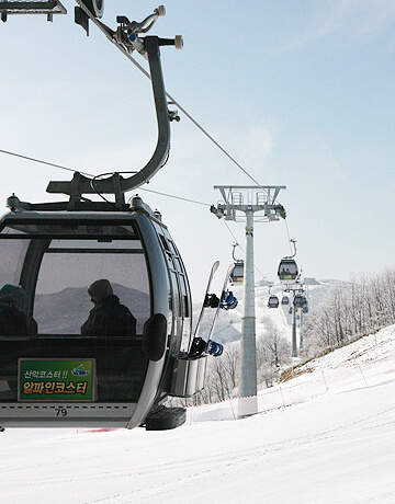 2025/2026 하이원리조트 스키장 시즌권 렌탈 할인 완벽 가이드