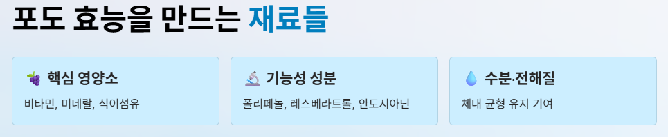 포도 효능
