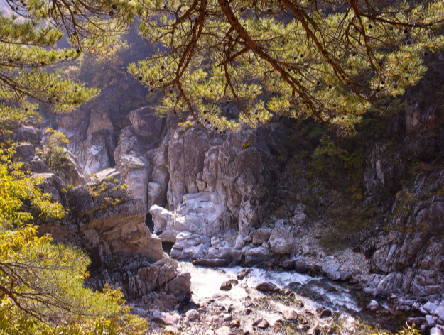 울진 가볼만한곳 베스트10