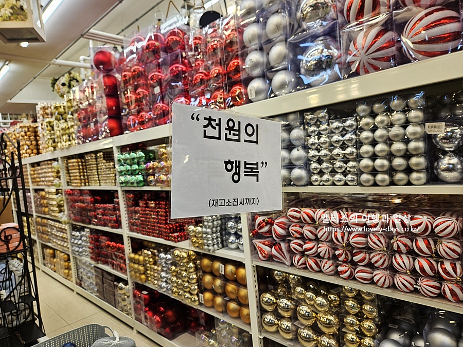 부산 크리스마스 명소 가볼만한곳 TOP 7