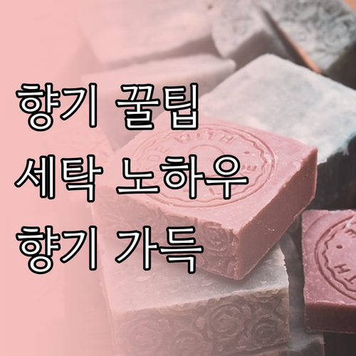 향기로운 세탁을 위한 빨래 꿀팁 대방..