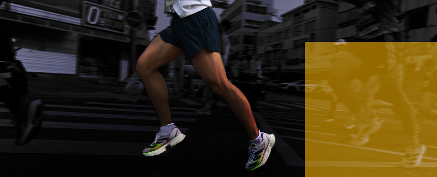 2025 서울마라톤 겸 제95회 동아마라톤 &ndash; 일정&amp;#44; 접수 방법&amp;#44; 코스 총정리