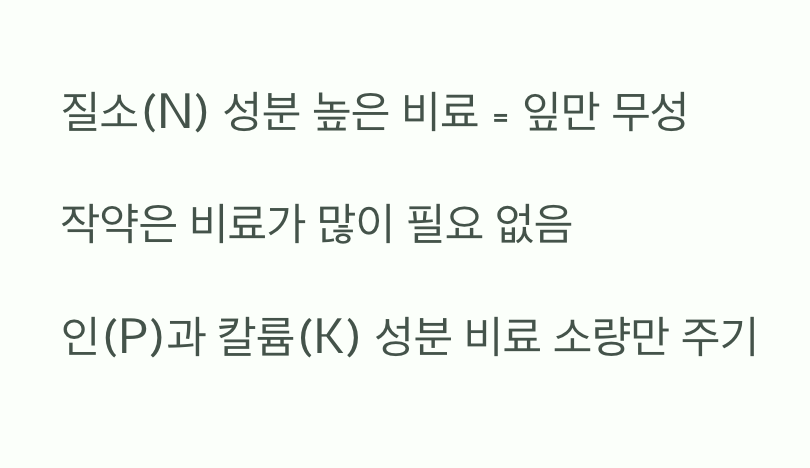 원인 둘: 과도한 사랑, 질소 비료 과다