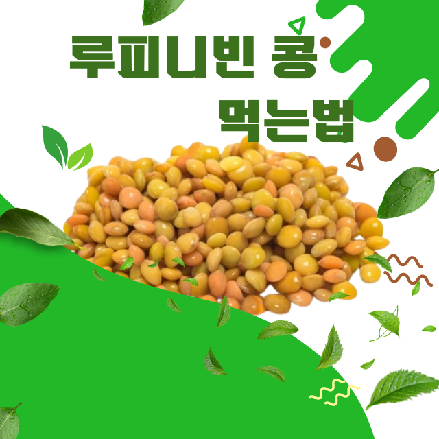 루피니빈 먹는법