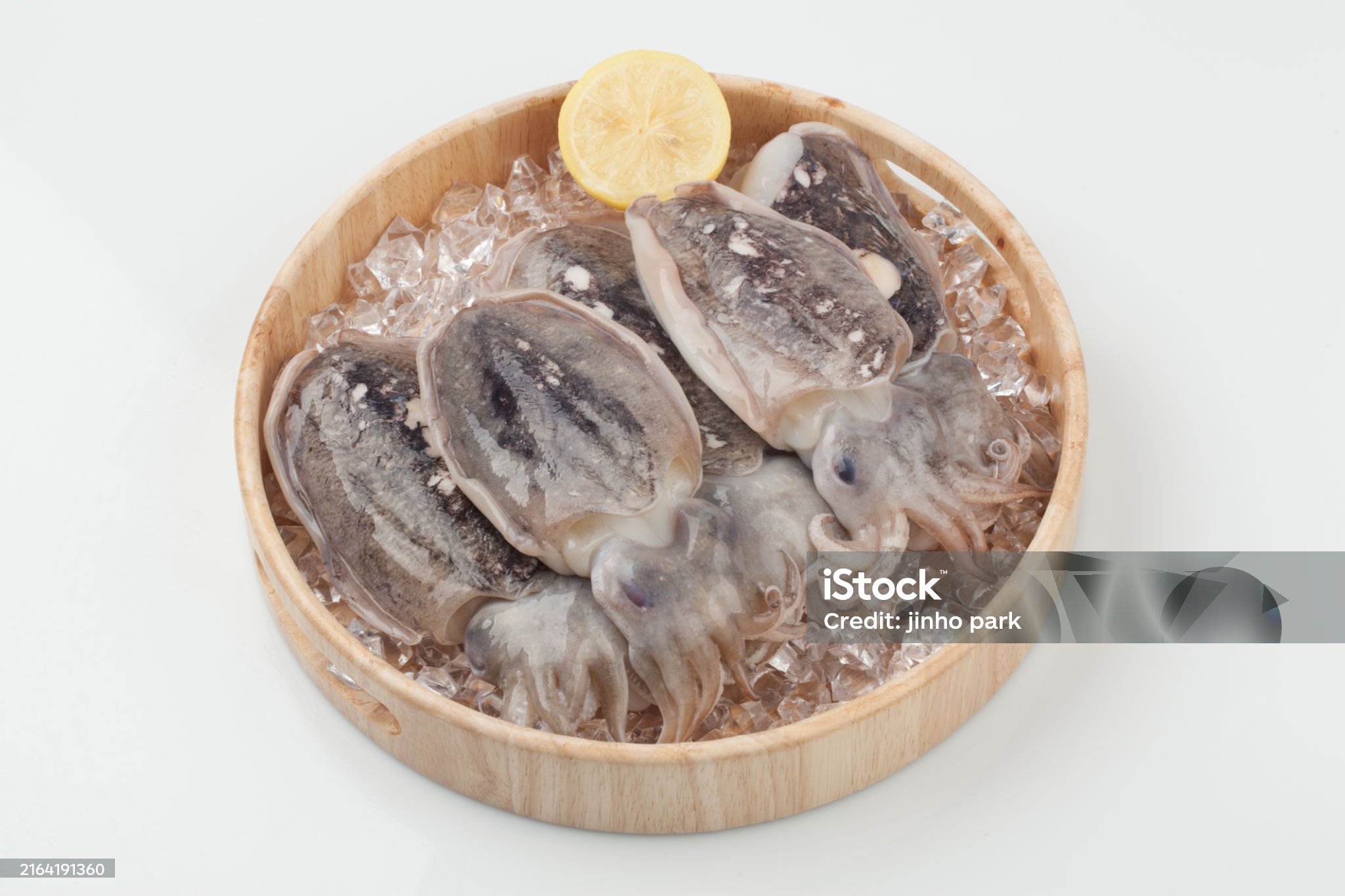 제철 음식 , 갑오징어