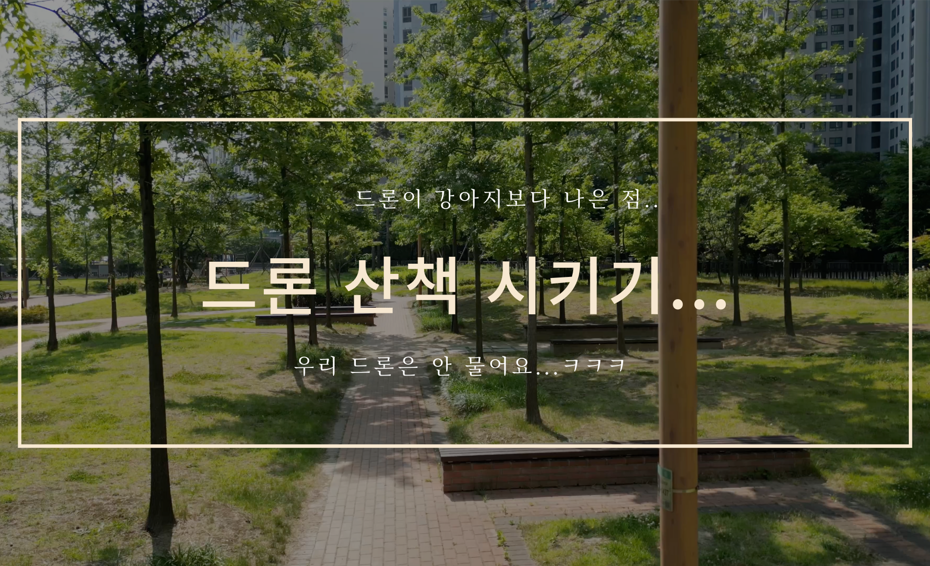 드론 산책