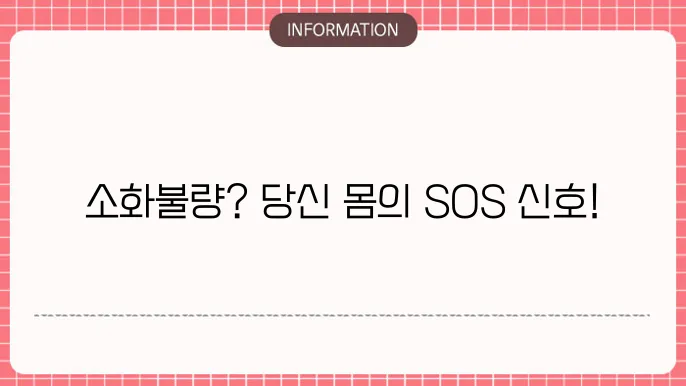 소화가 안될때 증상