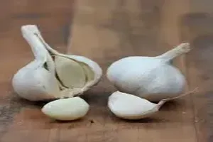 마늘
