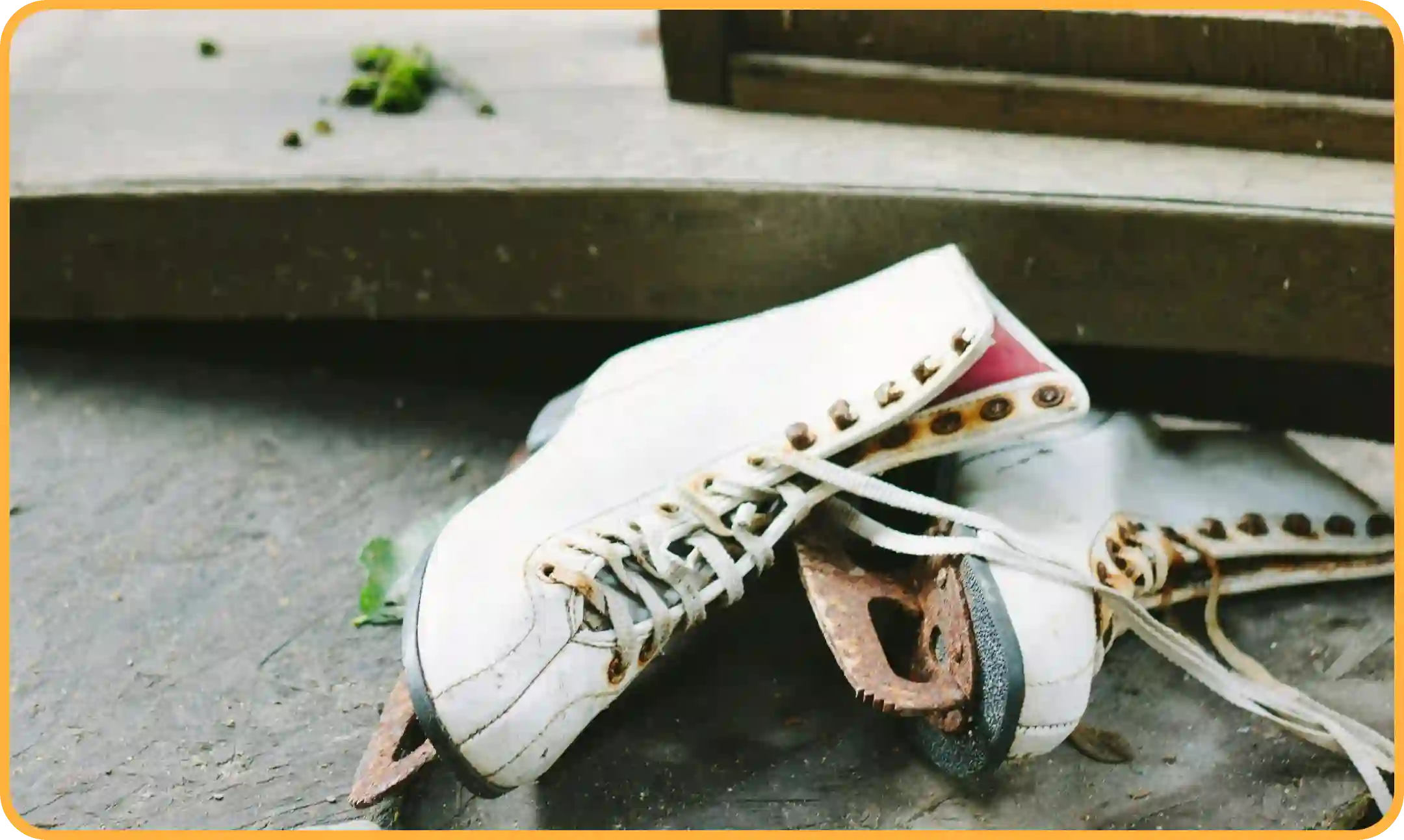 쇼트트랙 월드컵 중계 방송 (월드투어 일정) 보기