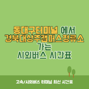 동대구터미널에서 경북대상주캠퍼스정류소 가는 시외버스 시간표 최신정보