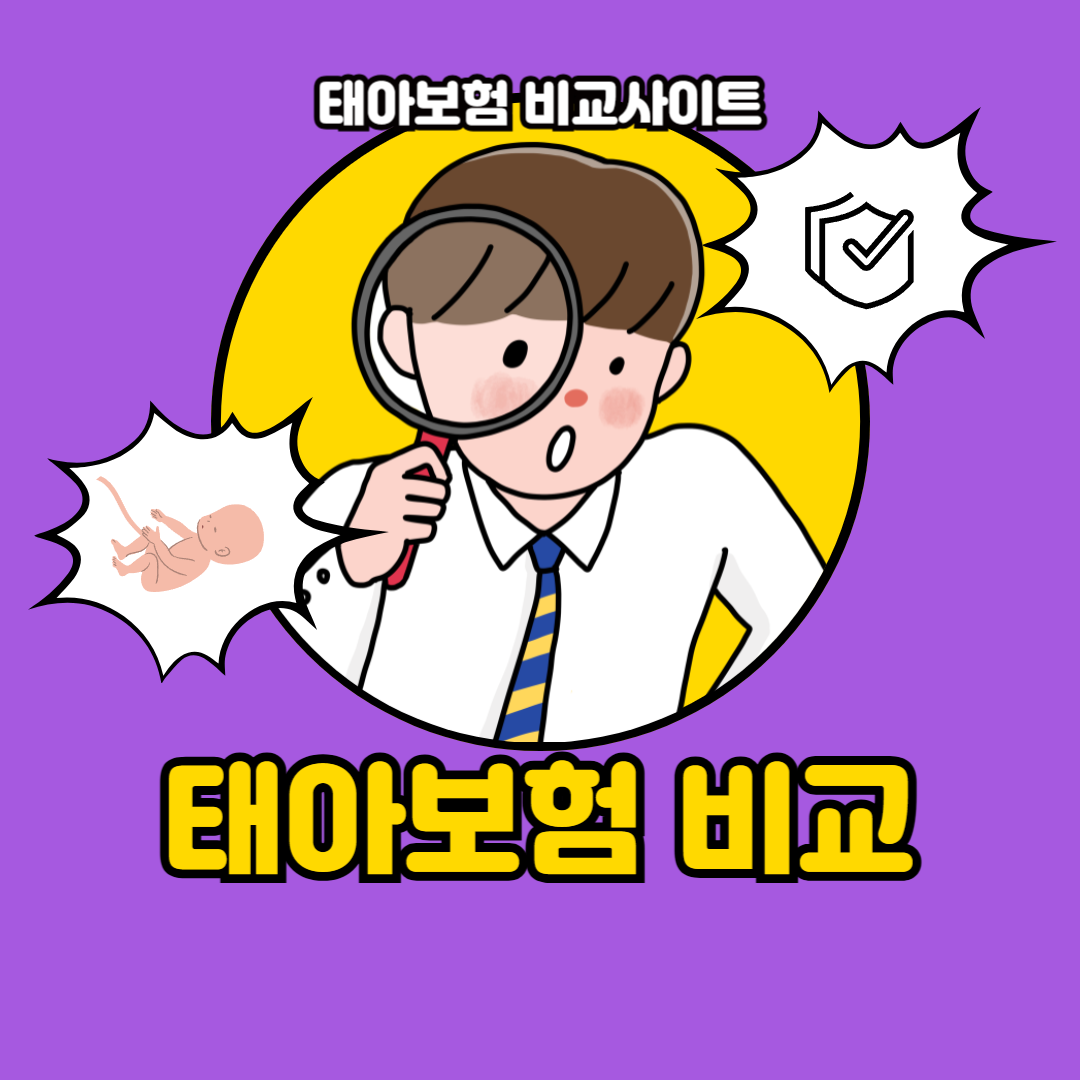 태아보험 비교사이트 순위 추천 견적비교