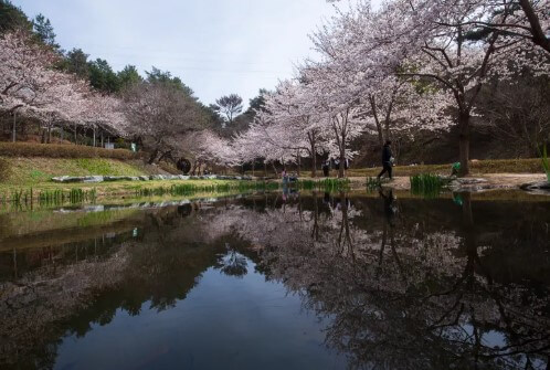 화동못수변공원